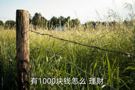 有1000塊錢怎么 理財(cái)