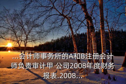 ...會計師事務(wù)所的A和B注冊會計師負(fù)責(zé)審計甲 公司2008年度財務(wù)報表.2008...