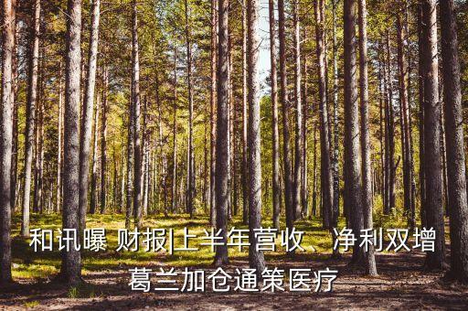 和訊曝 財(cái)報(bào)|上半年?duì)I收、凈利雙增葛蘭加倉通策醫(yī)療