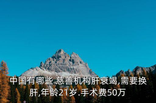 中國有哪些 慈善機構肝衰竭,需要換肝,年齡21歲.手術費50萬