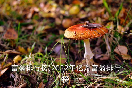 富翁排行榜(2022年億萬富翁排行榜