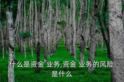 什么是資金 業(yè)務(wù),資金 業(yè)務(wù)的風(fēng)險(xiǎn)是什么