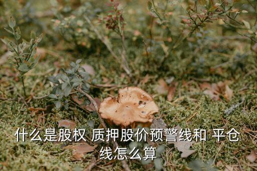 什么是股權(quán) 質(zhì)押股價預(yù)警線和 平倉線怎么算