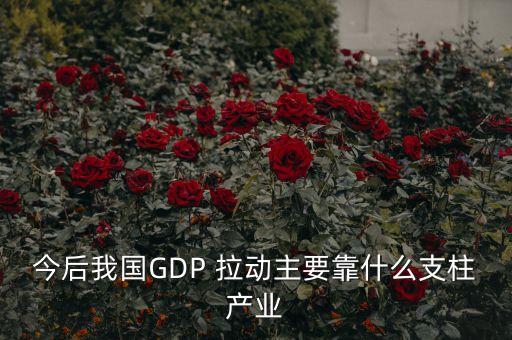 今后我國(guó)GDP 拉動(dòng)主要靠什么支柱產(chǎn)業(yè)