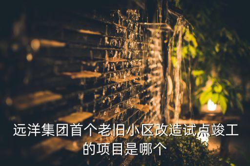  遠(yuǎn)洋集團(tuán)首個(gè)老舊小區(qū)改造試點(diǎn)竣工的項(xiàng)目是哪個(gè)