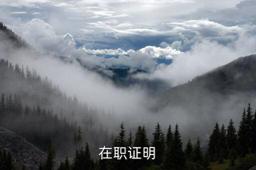 職有我公司地址,北京職上網(wǎng)公司地址