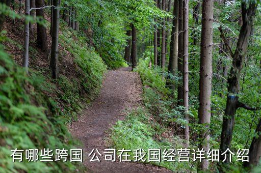 有哪些跨國(guó) 公司在我國(guó)經(jīng)營(yíng)詳細(xì)介紹