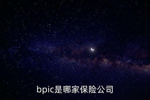 bpic是哪家保險公司