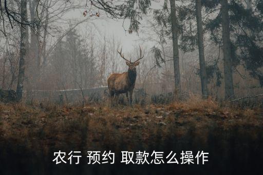 農(nóng)行 預(yù)約 取款怎么操作