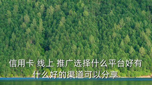 信用卡 線上 推廣選擇什么平臺好有什么好的渠道可以分享