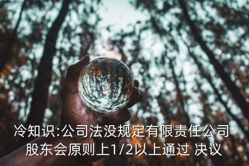 冷知識:公司法沒規(guī)定有限責(zé)任公司 股東會原則上1/2以上通過 決議