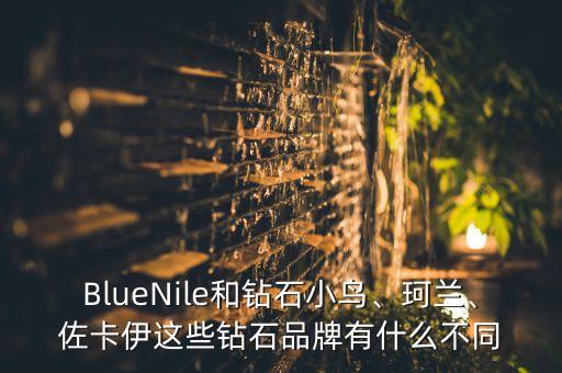 BlueNile和鉆石小鳥、珂蘭、佐卡伊這些鉆石品牌有什么不同