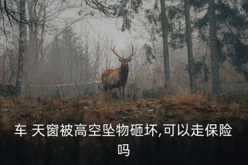 車 天窗被高空墜物砸壞,可以走保險(xiǎn)嗎