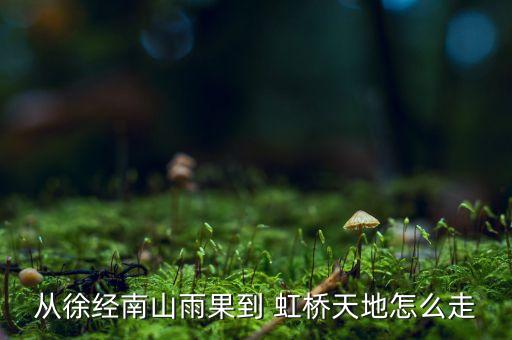 從徐經(jīng)南山雨果到 虹橋天地怎么走