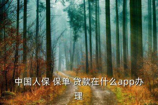 中國(guó)人保 保單 貸款在什么app辦理