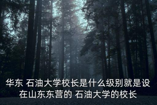 華東 石油大學(xué)校長是什么級別就是設(shè)在山東東營的 石油大學(xué)的校長