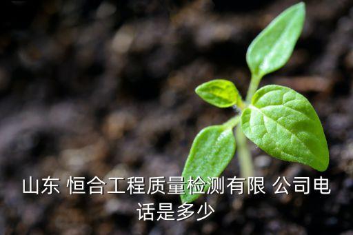 山東 恒合工程質量檢測有限 公司電話是多少