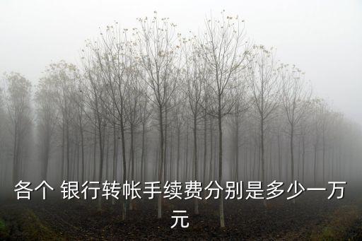 各個 銀行轉(zhuǎn)帳手續(xù)費分別是多少一萬元