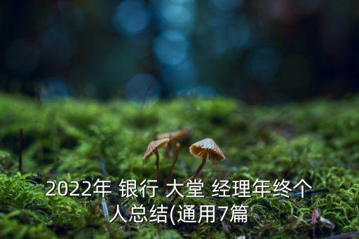 2022年 銀行 大堂 經(jīng)理年終個人總結(通用7篇