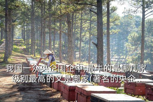 中國(guó)盛寶投資集團(tuán)有限公司,山東盛寶玻璃鋼集團(tuán)有限公司