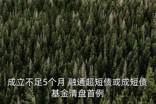 成立不足5個月 融通超短債或成短債基金清盤首例