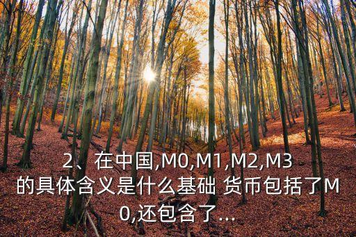 2、在中國(guó),M0,M1,M2,M3的具體含義是什么基礎(chǔ) 貨幣包括了M0,還包含了...