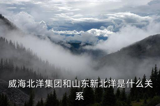  威海北洋集團(tuán)和山東新北洋是什么關(guān)系