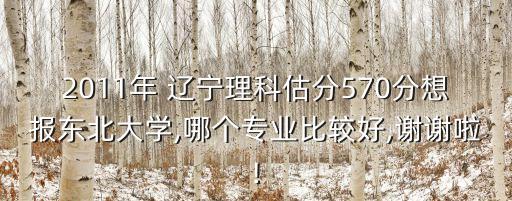 2011年 遼寧理科估分570分想報(bào)東北大學(xué),哪個專業(yè)比較好,謝謝啦!