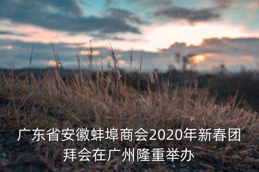 廣東省安徽蚌埠商會2020年新春團(tuán)拜會在廣州隆重舉辦