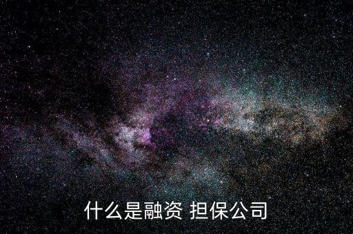 什么是融資 擔保公司