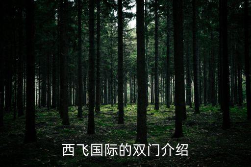 西飛國(guó)際的雙門(mén)介紹