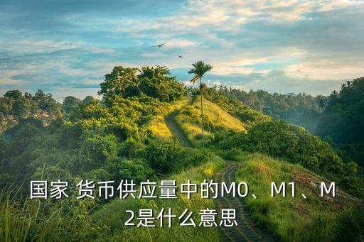 國家 貨幣供應(yīng)量中的M0、M1、M2是什么意思