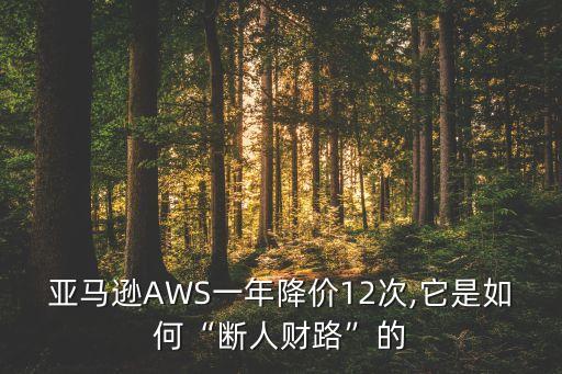 亞馬遜AWS一年降價(jià)12次,它是如何“斷人財(cái)路”的