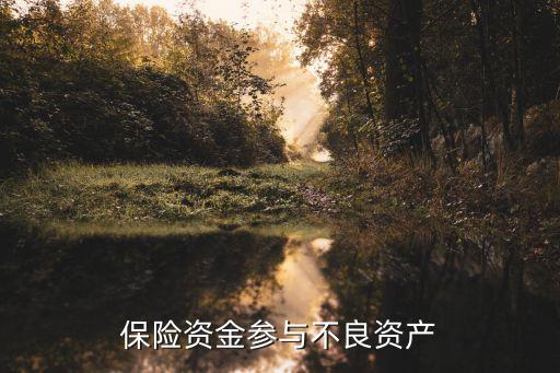 保險(xiǎn)資金參與不良資產(chǎn)