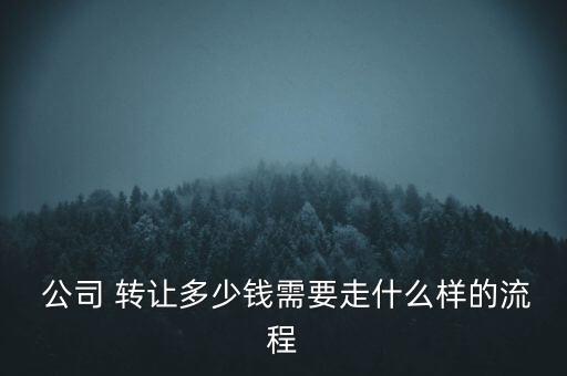  公司 轉(zhuǎn)讓多少錢需要走什么樣的流程