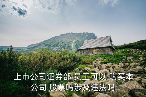  上市公司證券部 員工可以 購買本公司 股票嗎涉及違法嗎