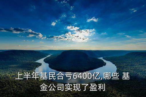 上半年基民合虧6400億,哪些 基金公司實現(xiàn)了盈利