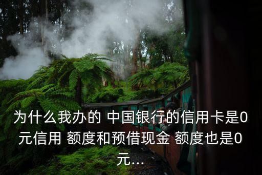 為什么我辦的 中國銀行的信用卡是0元信用 額度和預(yù)借現(xiàn)金 額度也是0元...