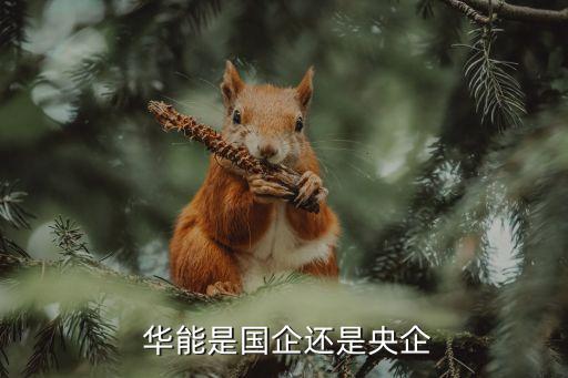 華能房地產(chǎn)開發(fā)公司,華能天地房地產(chǎn)