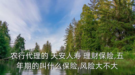 農(nóng)行代理的 天安人壽 理財保險,五年期的叫什么保險,風(fēng)險大不大