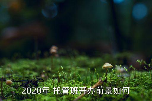 2020年 托管班開辦前景如何