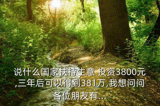 說什么國家扶持生意 投資3800元,三年后可以得到381萬,我想問問各位朋友有...