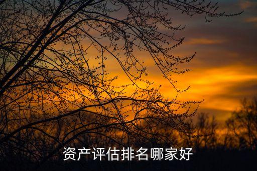 資產(chǎn)評(píng)估排名哪家好