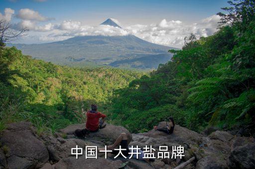 中國(guó)十大井鹽品牌