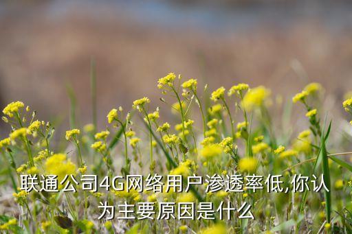 聯(lián)通公司4G網(wǎng)絡(luò)用戶滲透率低,你認為主要原因是什么