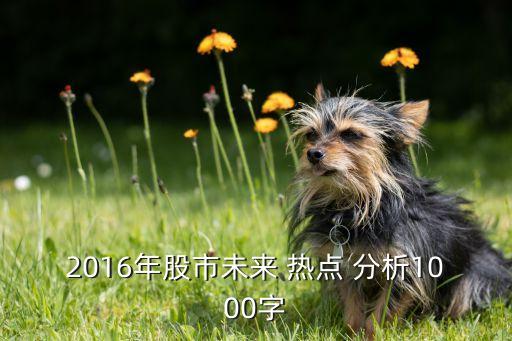 2016年股市未來 熱點 分析1000字