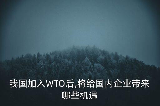 wto與中國(guó)承諾金融,中國(guó)加入wTO承諾