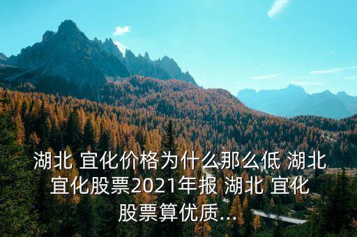  湖北 宜化價格為什么那么低 湖北 宜化股票2021年報 湖北 宜化股票算優(yōu)質(zhì)...