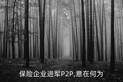 p2p引入保險公司,保險公司講專題前的引入