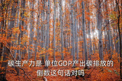 碳生產力是 單位GDP產出碳排放的倒數這句話對嗎